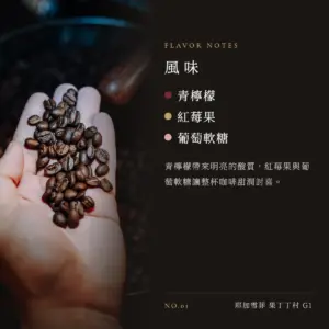衣索比亞 耶加雪菲 果丁丁村 G1 咖啡豆　風味
