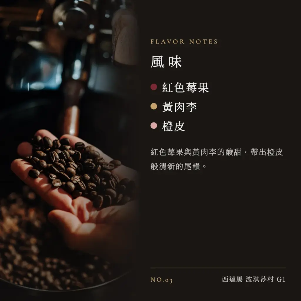 衣索比亞 西達馬 波淇莎村 G1 咖啡豆　風味