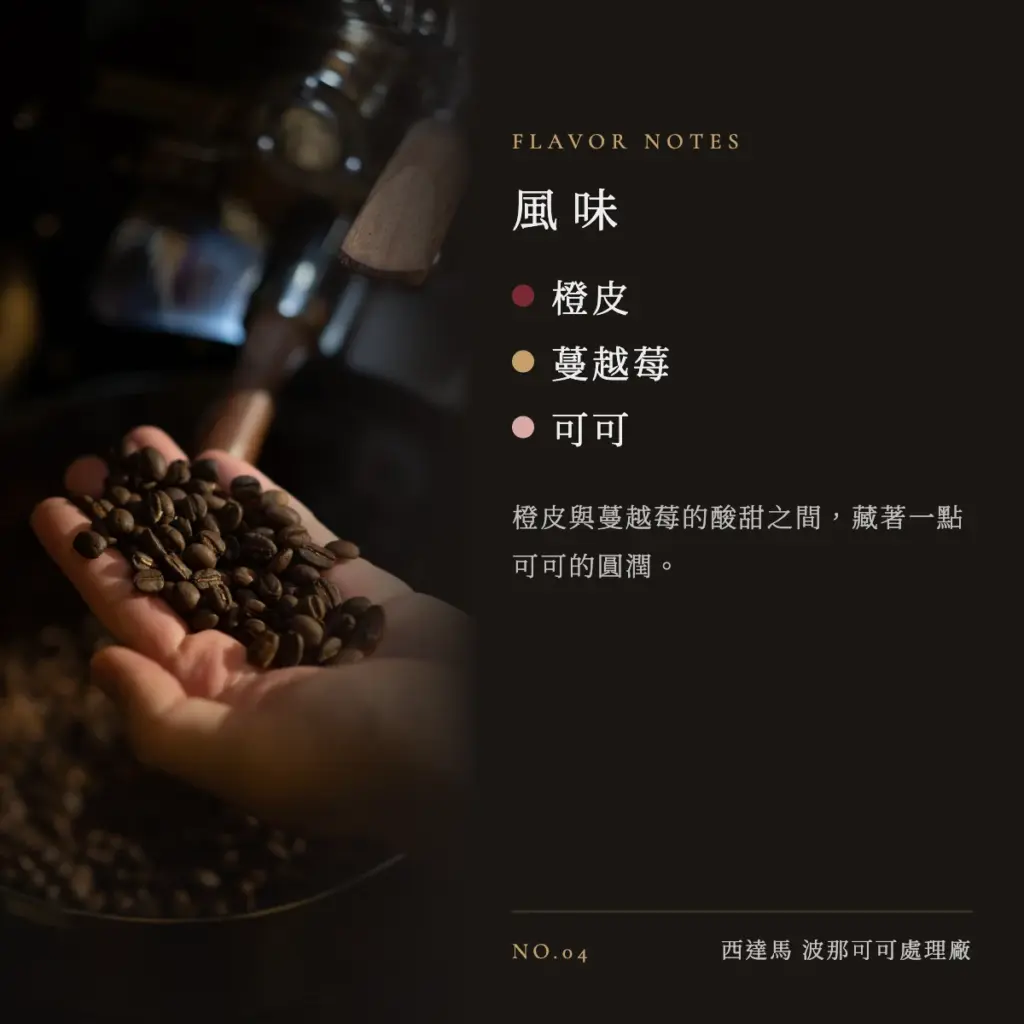 衣索比亞 西達馬 波那可可處理廠 咖啡豆　風味