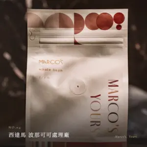 衣索比亞 西達馬 波那可可處理廠 咖啡豆　情境