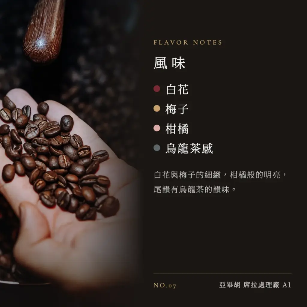 盧安達 亞畢胡 席拉處理廠 A1 咖啡豆　風味