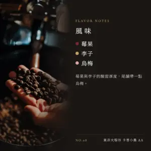肯亞 東非大裂谷 卡普小農 咖啡豆　風味