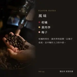 哥倫比亞 薇拉省 展望莊園 咖啡豆　風味