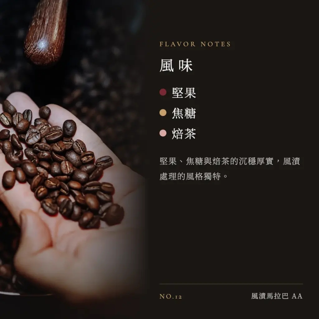 印度 風漬馬拉巴 AA 咖啡豆　風味